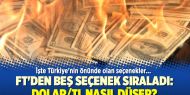 FT'den beş seçenek: Dolar/TL nasıl düşer?