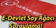 ​E-Devlet soyağacı bilgisi sorgulama sayfası yeniden açıldı