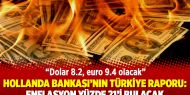 Hollanda Bankası’nın Türkiye raporu: Enflasyon yüzde 21’i bulacak; dolar 8.2, euro 9.4 olacak
