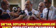 Şık’tan, Soylu’ya Cumartesi Anneleri yanıtı: Menfaatçi naylon kahraman