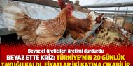 Beyaz ette kriz: Türkiye'nin 20 günlük tavuğu kaldı, fiyatlar iki katına çıkabilir