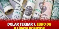 Dolar tekrar 7, Euro da 8 liraya koşuyor