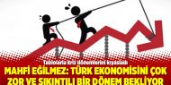 Mahfi Eğilmez: Türk ekonomisini çok zor ve sıkıntılı bir dönem bekliyor