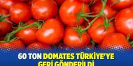 60 ton domates Türkiye'ye geri gönderildi