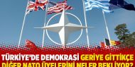 Türkiye’de demokrasi geriye gittikçe diğer NATO üyelerini neler bekliyor?