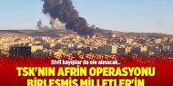 TSK'nın Afrin operasyonu Birleşmiş Milletler'in gündeminde