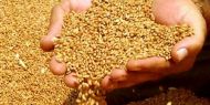 Türkiye, 90 bin ton buğday ithal edecek